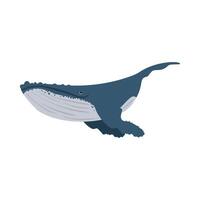 A blue whale with a long tail on a white background vector