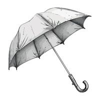 An illustration of an umbrella with a handle vector