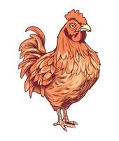 A cartoon chicken standing on a white background vector