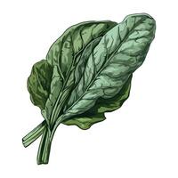 A green leaf with leaves on it vector