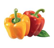 Two red and yellow peppers on a white background vector