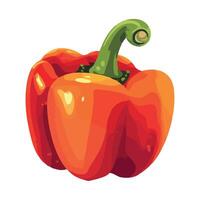 Red pepper with green stem on white background vector