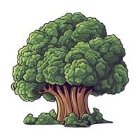 illustration of a broccoli tree vector