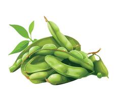 Green soy beans with leaves on a white background vector