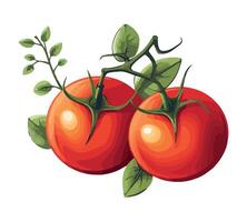 Tomatoes on a branch illustration vector