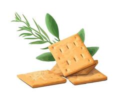 Crackers with rosemary and green leaves vector