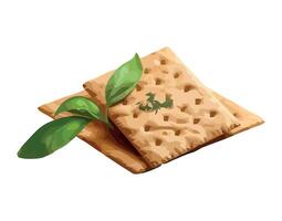 Crackers with green leaves on top of them vector