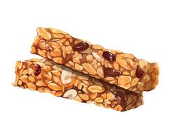 Granola bars on a white background vector