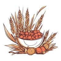 A bowl full of acorns and wheat on a white background vector