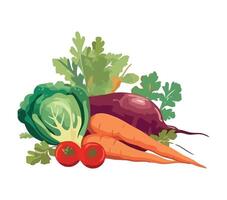 Vegetables and vegetables on a white background vector