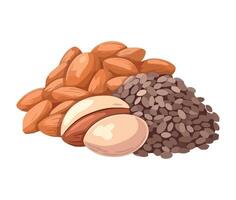 Almonds, hazelnuts, hazelnuts, hazelnuts, hazelnuts, vector