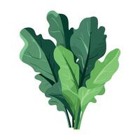 A bunch of green leaves on a white background vector
