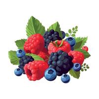 A bunch of berries and leaves on a white background vector