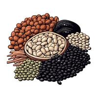 Various types of beans and beans in a bowl vector