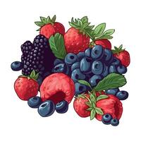 A bunch of berries and berries are shown in this illustration vector