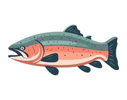 A rainbow trout on a white background vector
