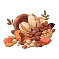 Nuts and nuts on a white background vector