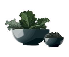 A bowl of kale and a bowl of leaves vector