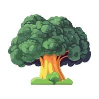 Broccoli tree illustration isolated on white background vector