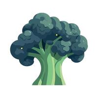 Broccoli tree illustration isolated on white background vector