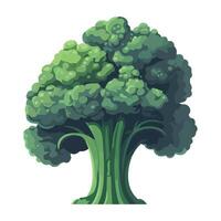 Broccoli illustration isolated on white background vector