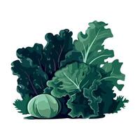 Kale and pumpkin on a white background vector