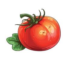 Tomato with green leaves illustration vector