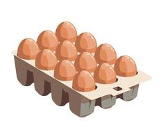 Eggs in carton on white background vector