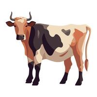 Cow with horns on white background illustration vector