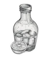 A drawing of a glass bottle with ice and lemon slices vector