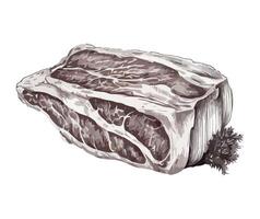 A drawing of a piece of meat on a white background vector