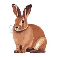 A brown rabbit sitting on a white background vector