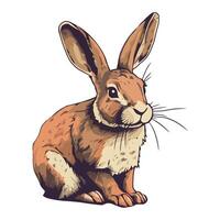 illustration of a rabbit on a white background vector