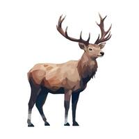 Low poly illustration of a deer on a white background vector