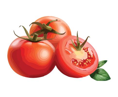 Tomatoes with leaves on a white background