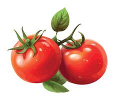 Tomatoes with leaves on a white background vector