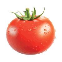 Tomato with water drops illustration vector