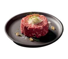 A plate of meat on a black plate with a slice of cheese vector