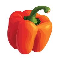 Red bell pepper illustration vector