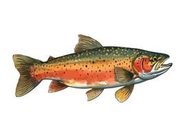 A rainbow trout is shown on a white background vector
