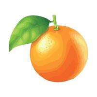 Orange with green leaf illustration vector