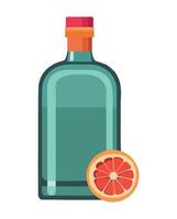 A bottle of gin and grapefruit on a white background vector