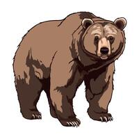A brown bear standing on a white background vector
