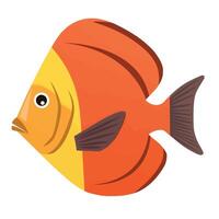 An orange and yellow fish on a white background vector