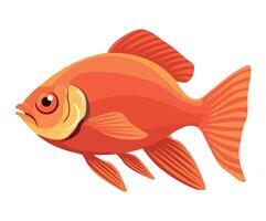 Goldfish fish illustration isolated on white background vector