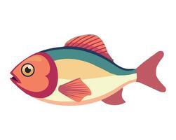 Fish illustration isolated on white background vector