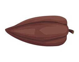 Cocoa pod isolated illustration on white background vector