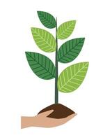 Hand holding a plant with green leaves vector