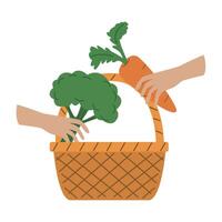 Two hands are holding a basket with a carrot and broccoli vector