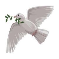 A white dove with an olive branch in its beak vector